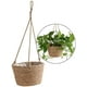 thumbnail image 1 of Maceta Colgante De Cuerda De Yute - Cesta De Macramé De Hierba Marina Plegable - Para Plantas Suculentas, Decoración Interior Al Aire Libre. Afortunado Sencillez, 1 of 5