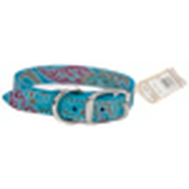 Omnipet paisley leather dog collar best sale