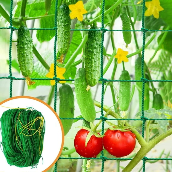 LQQBOX Garden Nylon Mesh Plant Support Trellis Netting Plant Climbing Net for Flower Fruits Vegetables Tomato Plants 6.56 Feet x 16.4 Feet