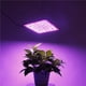 thumbnail image 4 of Luz Led Para Plantas, Luz De Relleno Para Plantas Con Disipación De Calor, Soporte Colgante, Luz Led Cuántica Para Plantas Con Espectro Completo Para Plantación De Jardín Minnieouse HA028038-02, 4 of 7