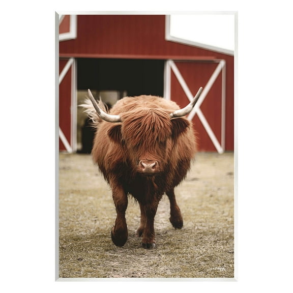 Stupell Industries Trotting Highland Cattle Bold Red Barn Photograph Unframed Art Print Wall Art, Design by Dakota Diener