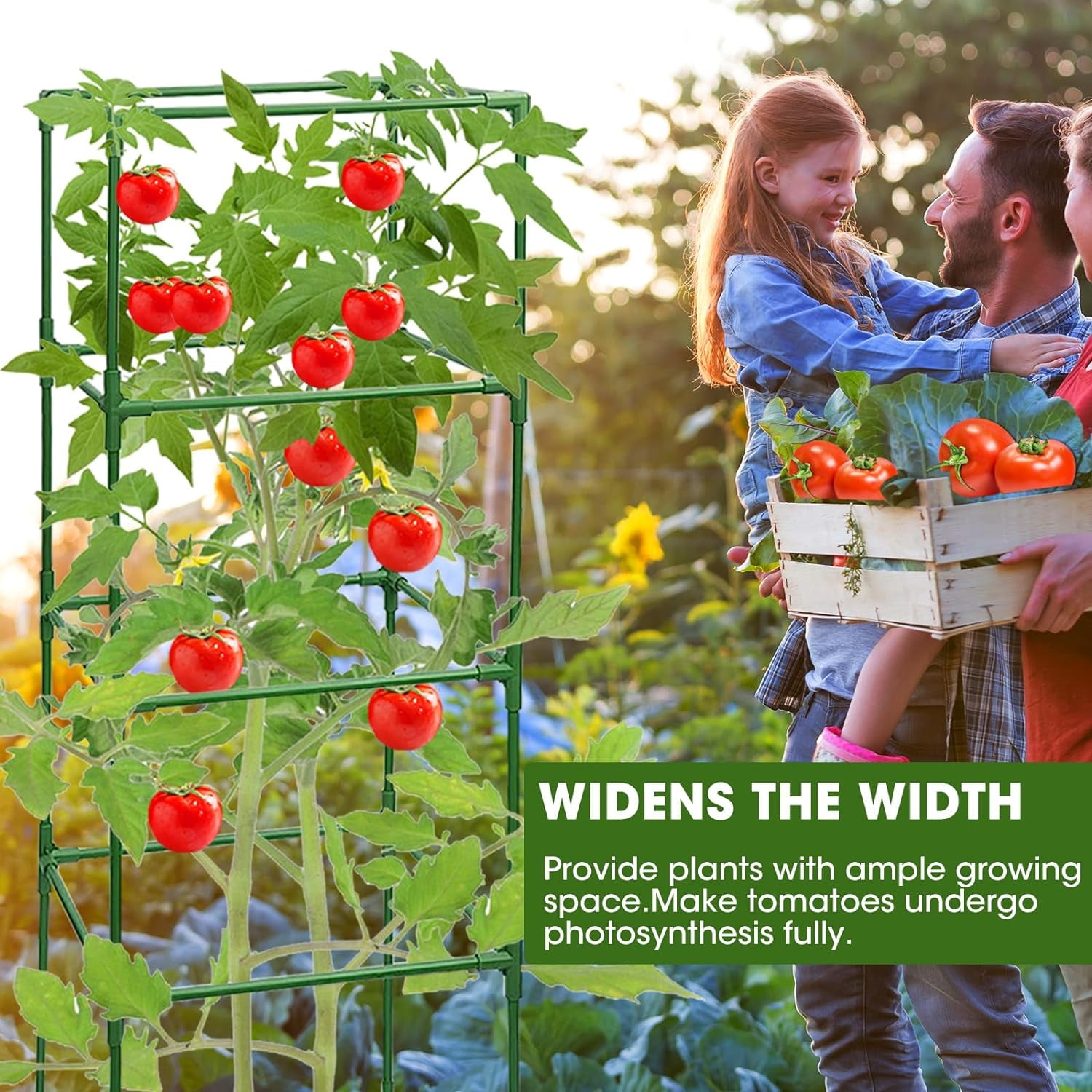 3 Pack Tomato Cages,Square Tomato Plant Stakes Support Cages Trellis for Garden Climbing Vegetables Flowers Fruits,Extra Bold