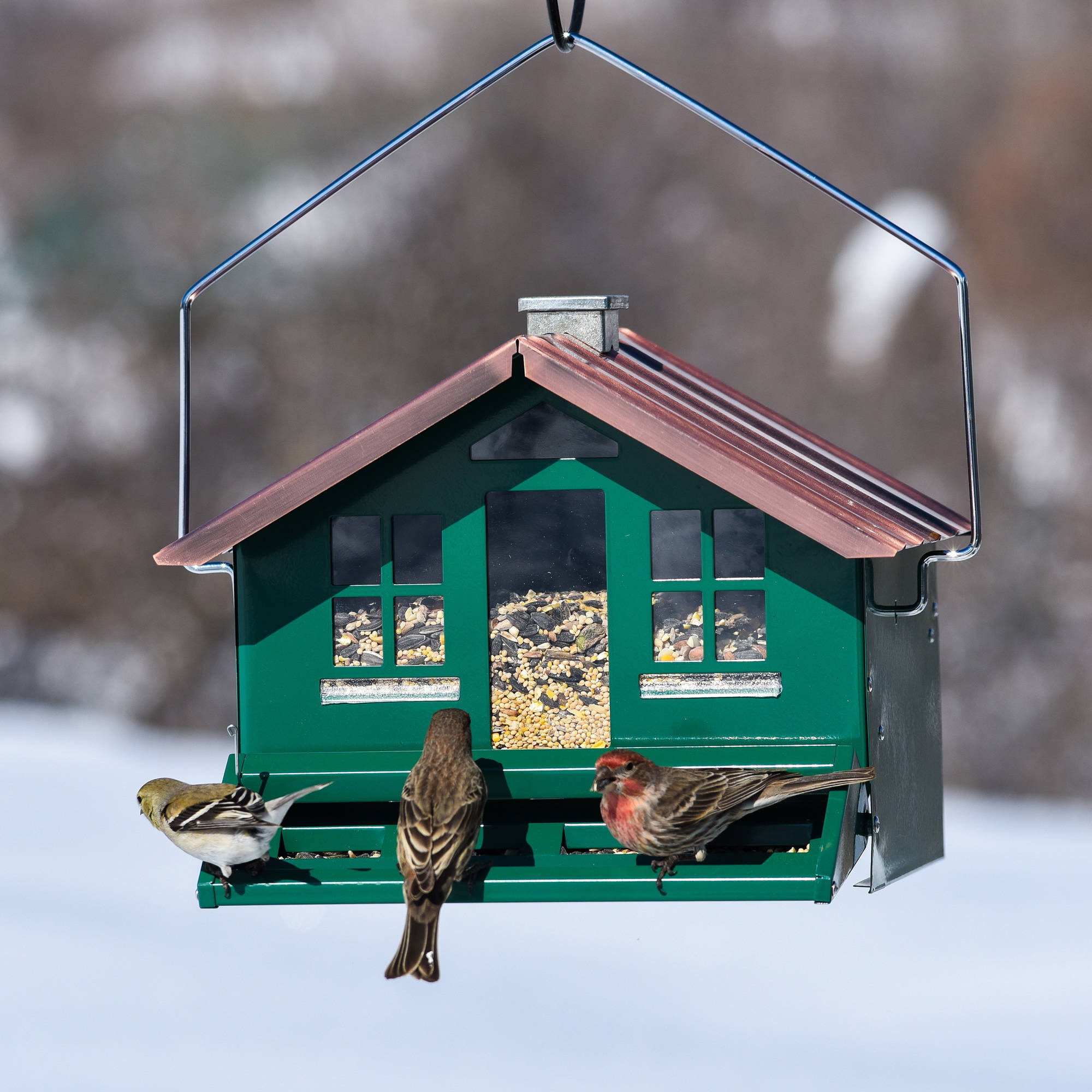 Perky Pet 8 Lb Squirrel Be Gone Ii Feeder Home With Chimney