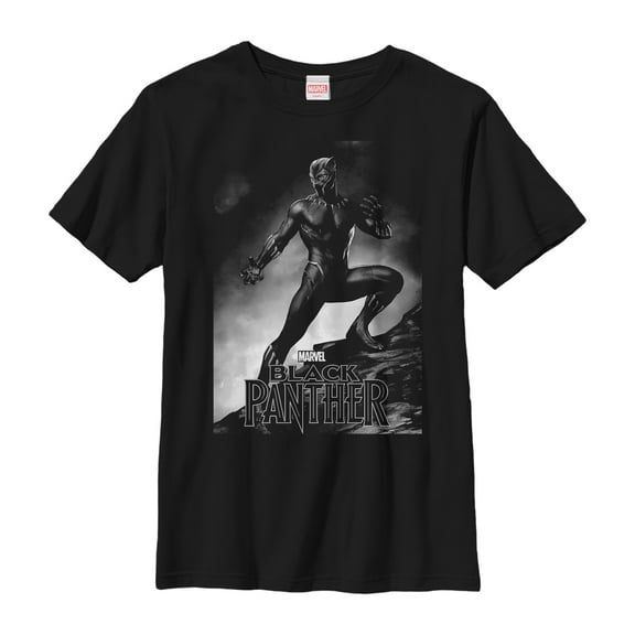 Boy's Marvel Black Panther 2018 Grayscale Pose Graphic Tee Black Medium