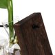 thumbnail image 5 of Florero Hidropónico Hidropónico, Florero De Cristal Decorativo Simple, Terrario De Planta Con Soporte De Madera, 5 of 8