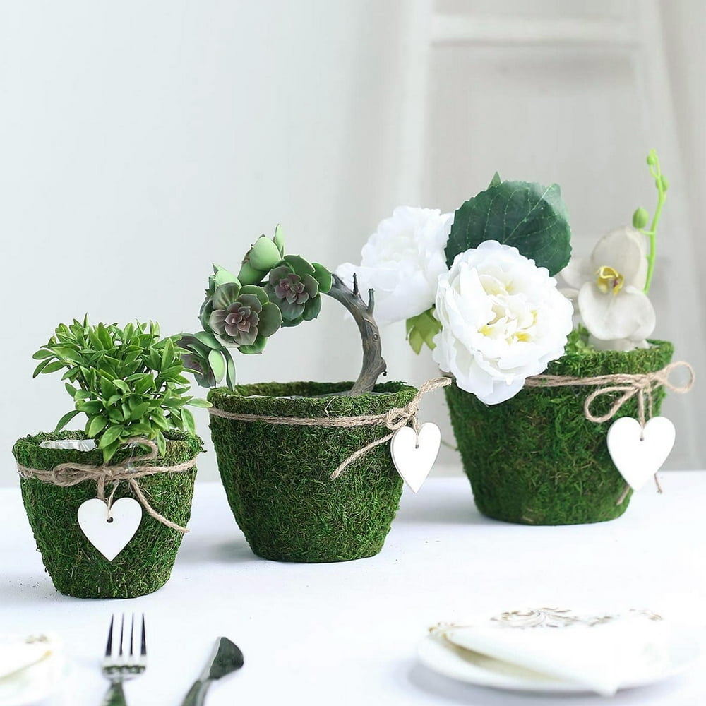 Efavormart Set of 3 Round Preserved Moss Planter Box Moss with Inner Lining Twine and Hanging ...