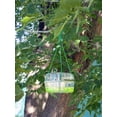 thumbnail image 2 of Koolatron WT1 Wasp Trap, 2 of 3