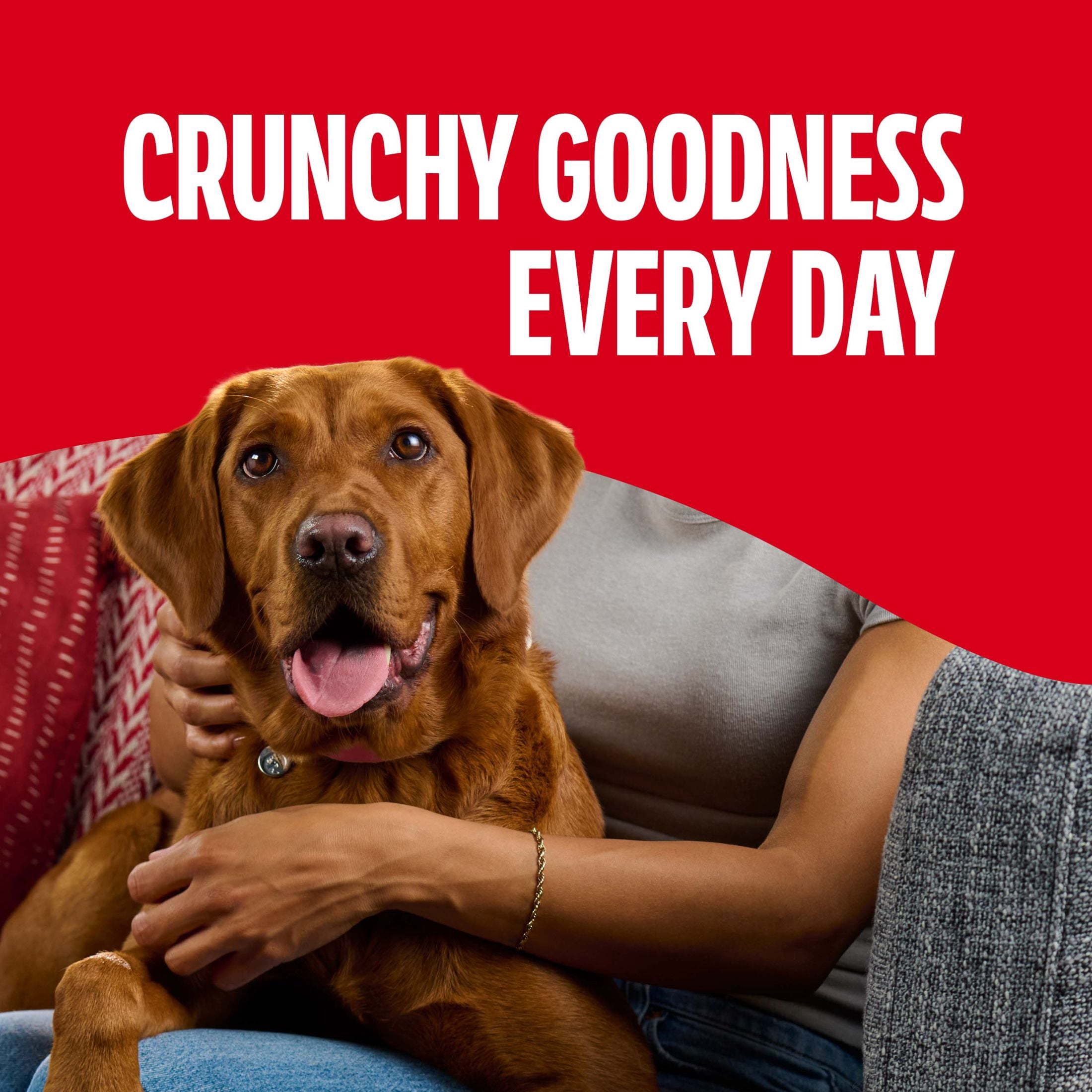 (2 pack) Milk Bone Flavor Snacks Large Dog Biscuits, Flavored Crunchy Dog Treats, 24 oz Box