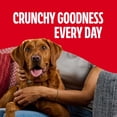 thumbnail image 5 of (2 pack) Milk Bone Flavor Snacks Large Dog Biscuits, Flavored Crunchy Dog Treats, 24 oz Box, 5 of 14