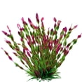 thumbnail image 1 of Fairnull Aquarium Plant Realistic Appearance Hideout Decor Plastic Artificial Seaweed Fish Tank Decoration for Home, 1 of 10