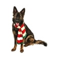 thumbnail image 3 of Midlee Christmas Striped Dog Scarf- Red/White & Green Pom Pom (Medium), 3 of 5