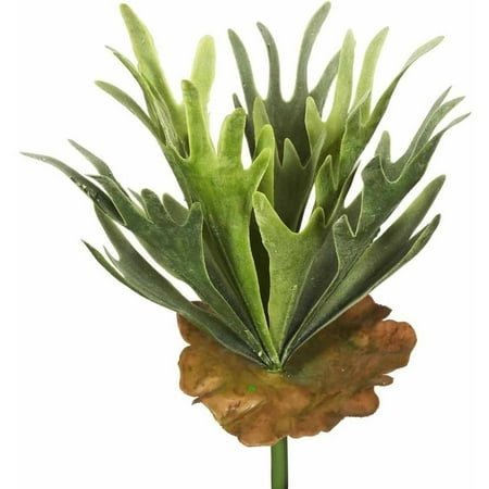 Green Frost Front Thermal - Vickerman 13