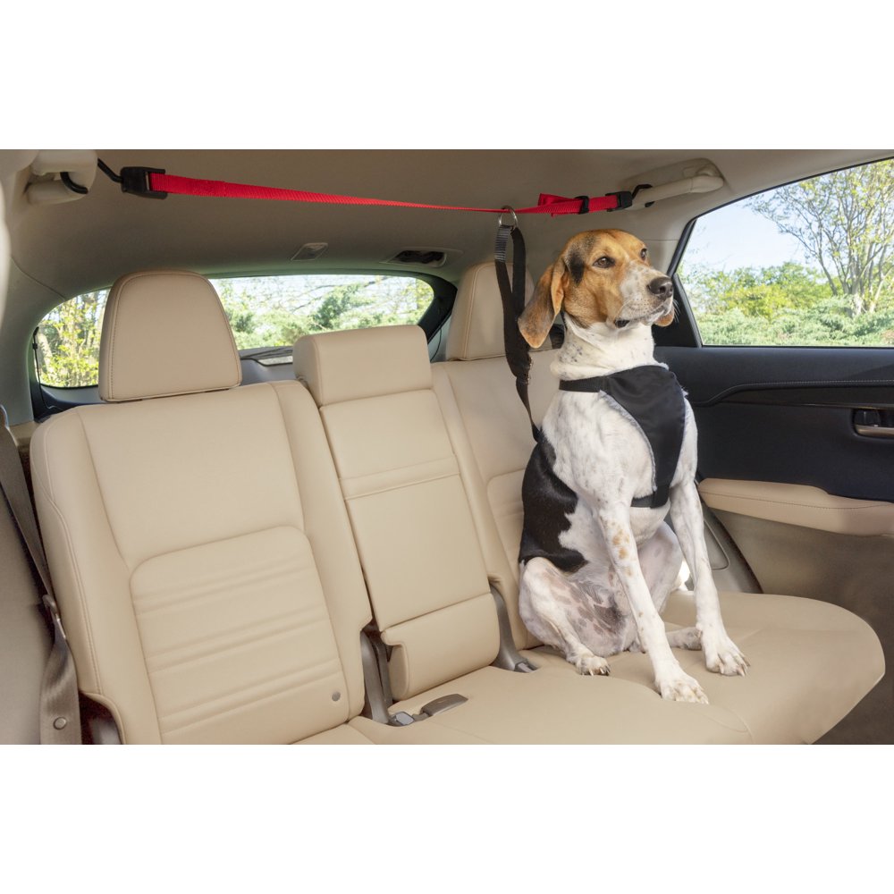 Premier Pet Car Pet Zipline Keeps Your Dog Secure with Freedom to