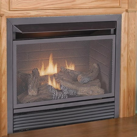 Duluth Forge Dual Fuel Fireplace Insert