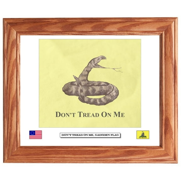 American Revolution. Framed Don't Tread On Me, Gadsden Flag