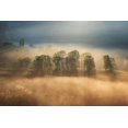 thumbnail image 2 of Ionut Coman, Alexandru 24x17 Gold Ornate Wood Framed with Double Matting Museum Art Print Titled - Sunrise veil, 2 of 4