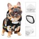 thumbnail image 3 of Fotbe Cat Skulls and Flowers Sudadera con Estampado para Perros Pequeños – Suéter con Capucha para Mascotas, Tela Suave de Forro Polar con Bolsillo-Large, 3 of 7