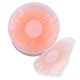thumbnail image 3 of Breast Cover Woven Cloth Light Breast Pasties Silicone Gentle Protection Thin For Banquet ANGGREK Otros, 3 of 7