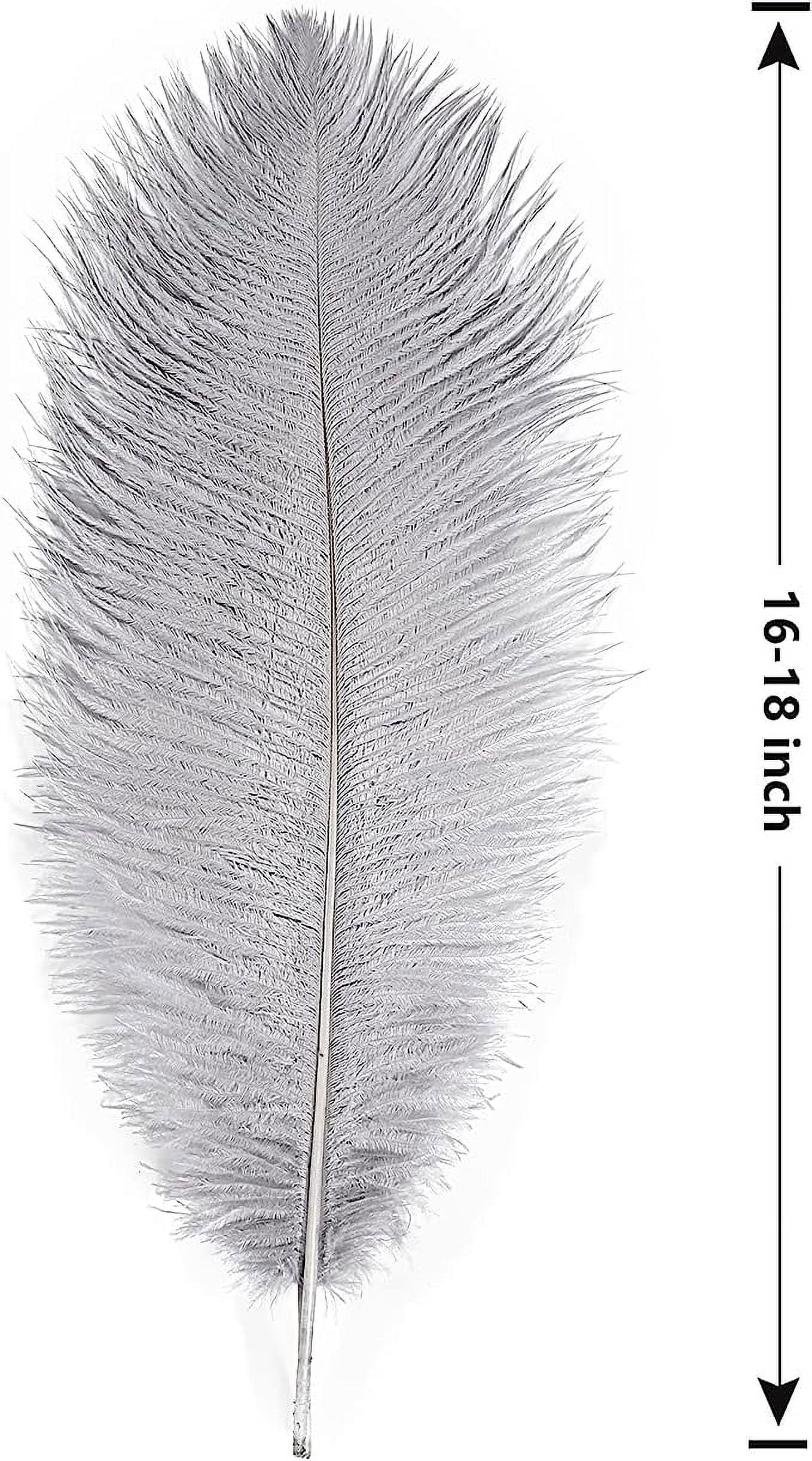 NAMZI 12pcs Gray Bulk Natural Ostrich Feathers 16-18Inch (40cm-45cm), Perfect for Wedding, Party Centerpieces, Easter & Home Decoration