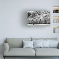 thumbnail image 3 of PHBurchett 'Water and Land VI' Canvas Art, 3 of 4