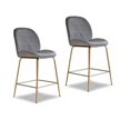 thumbnail image 1 of Heavenly Collection<br>Tabouret de Comptoir en Velours Gris, 1 of 3
