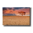 thumbnail image 1 of Epic Graffiti 'Sahara Desert Beauty' by Mark A Paulda, Canvas Wall Art, 40"x26", 1 of 8