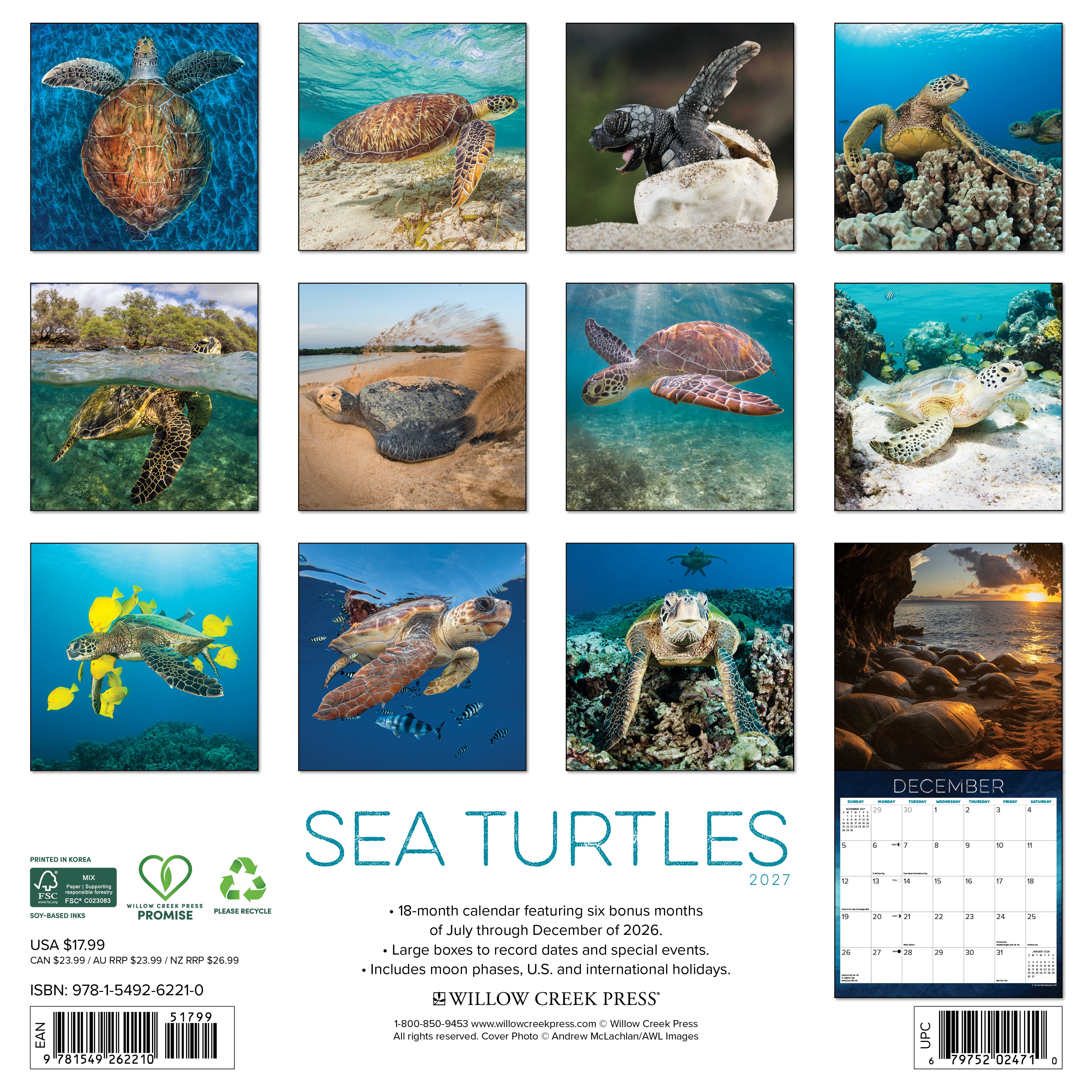 Willow Creek Press, Sea Turtles 2027 Wall Calendar