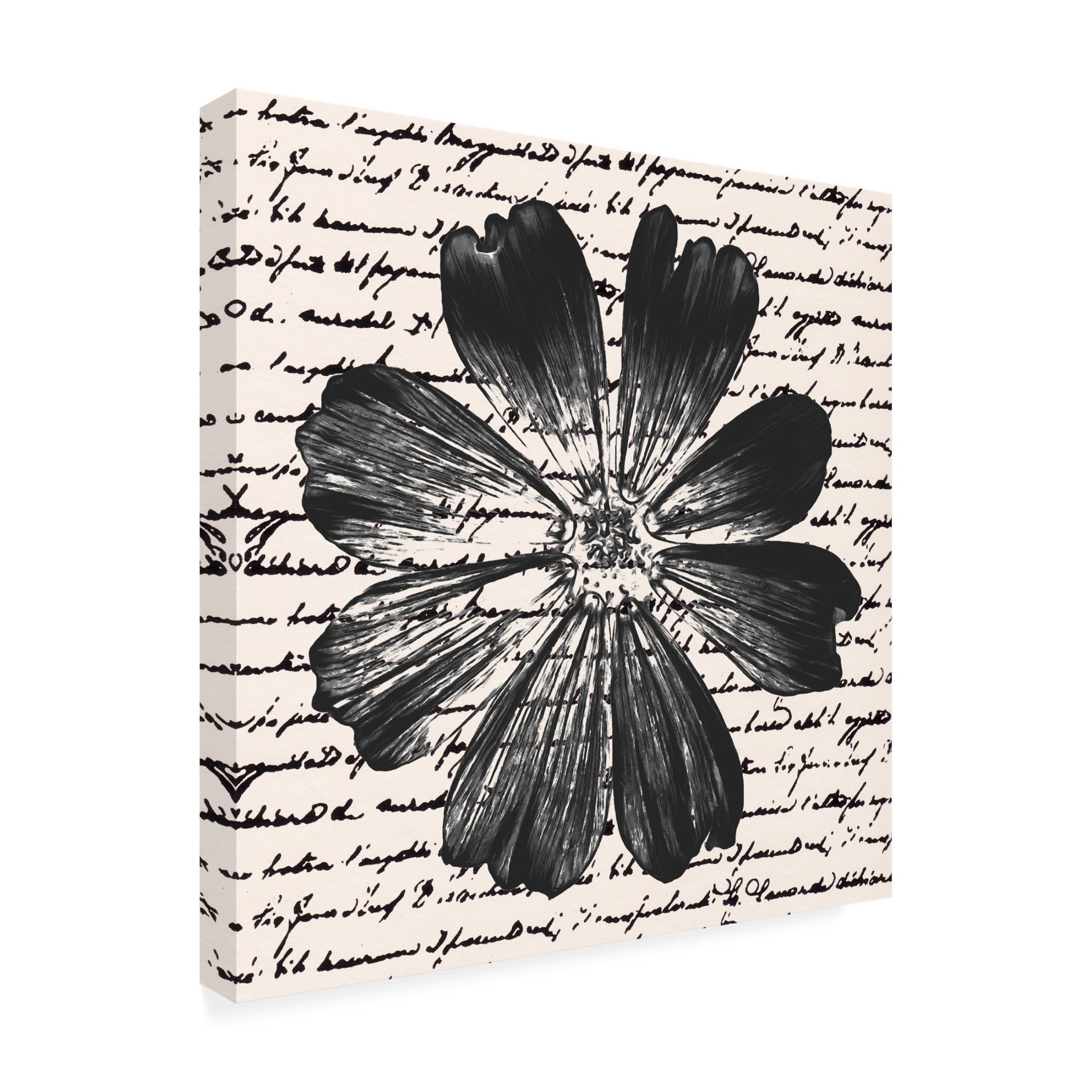 Trademark Fine Art Alonzo Saunders Inky Floral IV Canvas Wall Art