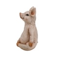thumbnail image 2 of Pig In Meditation, 2 of 5