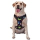 thumbnail image 1 of Balery Owls And Hearts Arnés para Perros Grandes Antitirones, Arnés con Correa para Gato, Arnés Tipo Chaleco para Perros Pequeños-Medium, 1 of 6