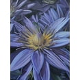 thumbnail image 2 of Harvill, Marc 15x18 Black Ornate Wood Framed with Double Matting Museum Art Print Titled - Purple Flower, 2 of 4