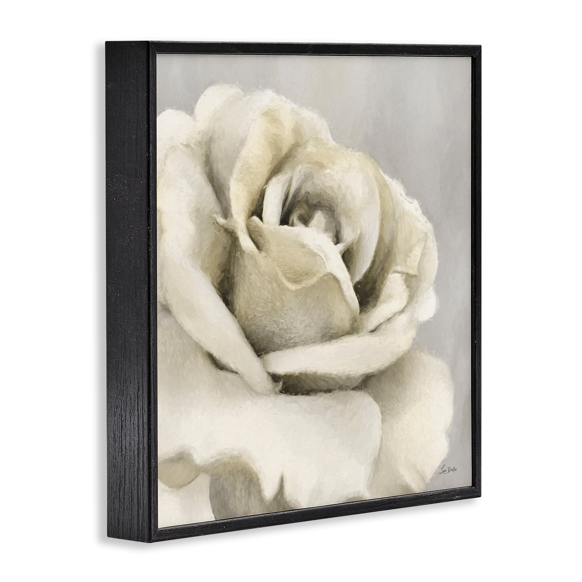Stupell Industries Curling Rose Petals Botanical & Floral Painting Black Framed Art Print Wall Art, 12 x 12