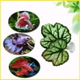 thumbnail image 2 of Betta Fish Hammock Plant Leaf Pad, Fish Spawning Grounds Breeding Resting Bed, Benefits Betta Fish by Simulating the Natural Habitat, Comfortable Rest Area for Fish Aquarium Ornaments 1Pc,Green, 2 of 6