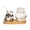 A, variant on KGJQ Mini Plant Propagation Station, Hydroponic Glass Vase with Cute Animals Figurine, Home Office Desks Aesthetic Decorations, Gift for Women Plant Lovers and Animal Lovers