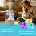 thumbnail image 6 of Arcticwind 30 Pack Humidifier Cleaning Fish, Humidifier Cleaner for Humidifiers and Fish Tanks, Purifies Water, Prevents Hard Water Build-Up, Reduces Scale,Multicolor, 6 of 6