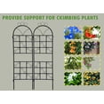 thumbnail image 4 of 2PCS Outdoor Metal Wall Decor or Trellis for Climbing Plants Suitable as Art Garden Panel Roses Vines Privacy for Garden, Black, 4 of 8