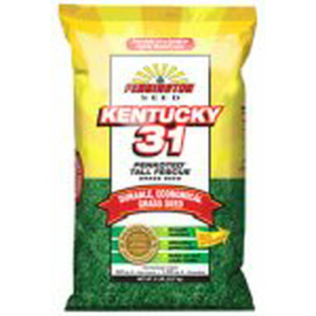 Pennington Seed Kentucky 31 Tall Fescue Lawn Grass, 3