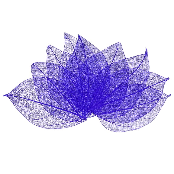 200-Pack Skeleton Leaves, Natural Rubber Tree Dried Pressed Leaves Vein [8-9cm, Purple]