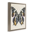 thumbnail image 3 of Stupell Industries Cottage Speckled Butterfly Sketch Brown Floating Frame Canvas Art, 18 x 18, by Susan Arnot, 3 of 8
