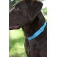 thumbnail image 2 of LAICAIW-Ice Blue Martingale Heavy Duty Nylon Dog Collar-21 Vibrant Color Options (3/4 Inch Width, Small), 2 of 7