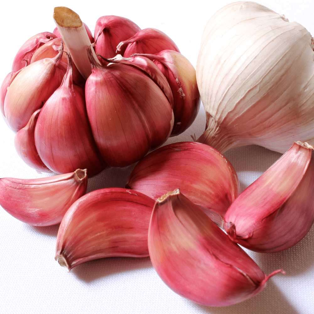 4 Mix Garlic Bulbs for Growing, Assorted Variety, Planting Outdoors, Hardneck Softneck Garlic Ready to Grow