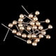 thumbnail image 3 of Pin De Empuje De 60x Alfileres + 400x De Push Pins Cabeza De Plástico, 3 of 9