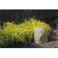 thumbnail image 5 of Emsco Group Landscape Rock Small Sandstone Style - Lightweight, Easy to Install - Beige, 5 of 9