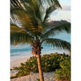 thumbnail image 3 of Bryant, Susan 12x14 Black Modern Framed Museum Art Print Titled - Sunset Palms I, 3 of 5