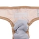 thumbnail image 5 of Pañales sanitarios para perros y hembras, lavables, para perros Beige XL, 5 of 9