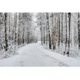 thumbnail image 3 of Fondos fotográficos con escena de nieve y árboles en el bosque invernal de Yeele para sesión fotográfica, decoración, fondos fotográficos para estudio fotográfico, 3 of 5
