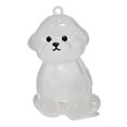 thumbnail image 1 of Porte-clés Commémoratif pour Poils d'Animaux, Bouteille de Rangement Transparente pour Souvenirs de Chiot, Idée d'Accessoire Unique pour Animaux, 1 of 4