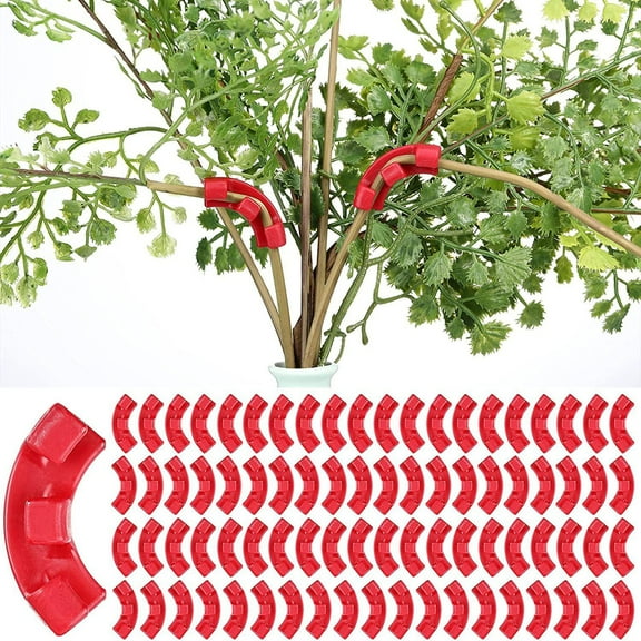 Plant Bender Low Stress Training (LST) to Replace Plant Trellis