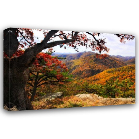 Alan Hausenflock 18x13 Gallery Wrapped Canvas Wall Art Titled - Wildcat Ridge III