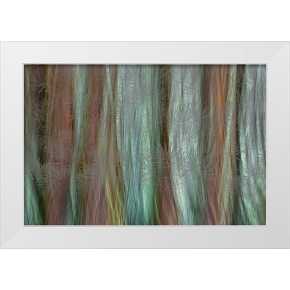Jaynes Gallery 14x11 White Modern Wood Framed Museum Art Print Titled - USA-Washington State-Seabeck Forest fantasy composite in Guillemot Cove Nature Preserve